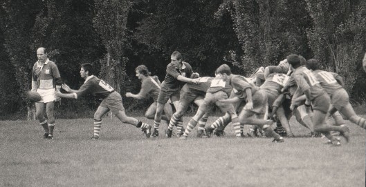 Larches 92
